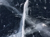 Day 11 blue ice majesty_wm