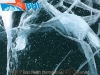 Ice treasure Baikal 2017_wm