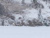 Day 6 Beautiful snow covered forest
