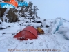 Day 7 camp